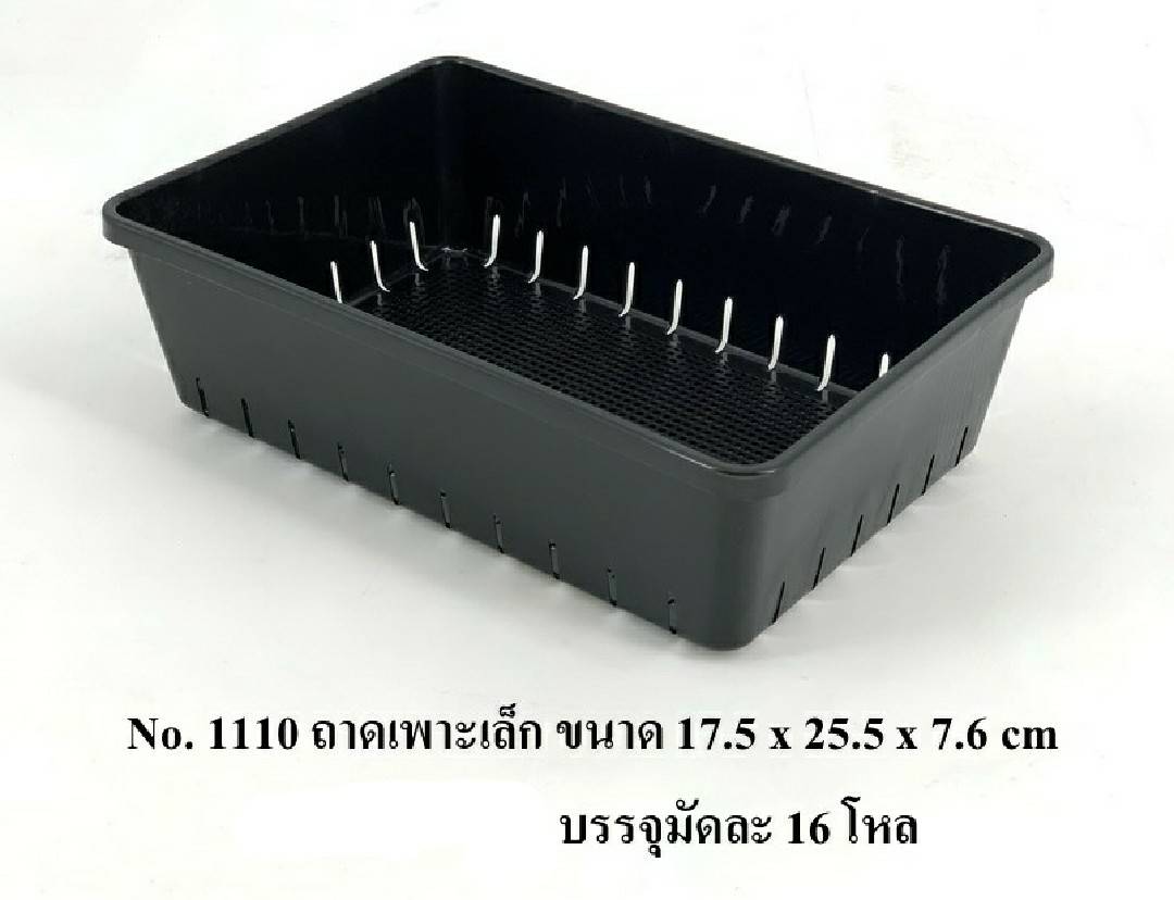 ถาดเพาะเล็ก สีดำ 17.5x25.5x7.6 cm.สินค้า 10บาท