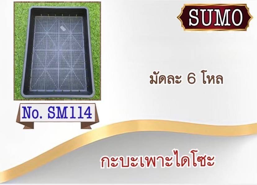 กะบะเพาะ ไดโซะ 35.5x50x8.5CM. สัดำ