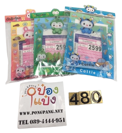 พลาสติกใส่ พ.ร.บ.   คละลาย T9957   P9933  JSB-BY315