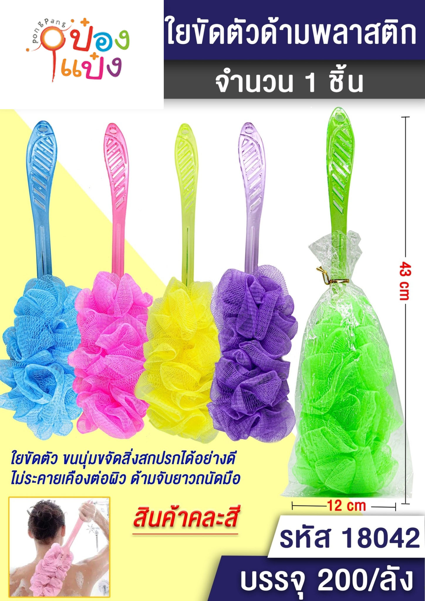 ไม้ขัดตัว ด้ามพลาสติก คละสี P6698 T9840